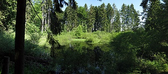 Bodenloser See