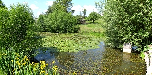 Weiher von Nordosten