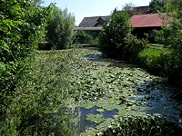 Weiher von Nordosten