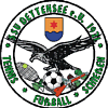 SSV Logo
